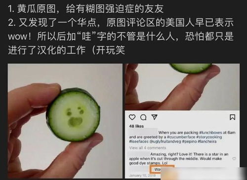  肖战用黄瓜表情包又被黑,这次黑子迅速翻车了