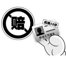  驾照扣满12分出事故保险公司不予理赔真相是这样的