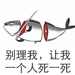  在车学院的实拍视频中,你最想看到什么镜头正经脸.jpg晚自习