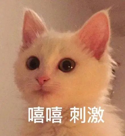  气温突变17级台风再升级,龙江天气将大反转