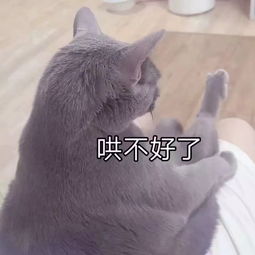  妹妹,你老公真不行