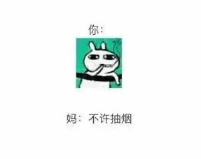  有一种代沟叫做爸妈让我解释表情包