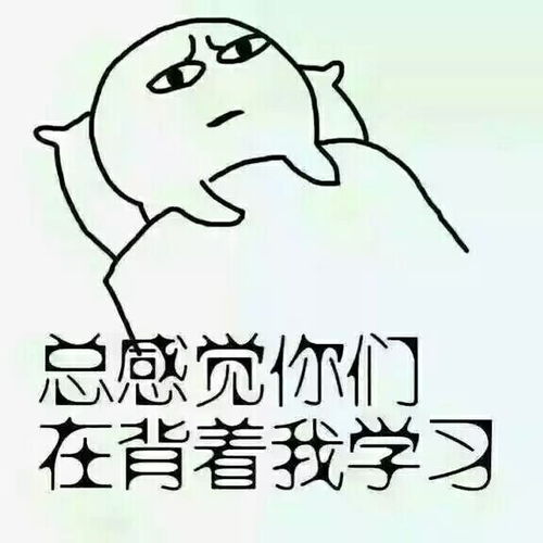  海河关注拼了明天就是研究生考试看看哏都的备考生们都是怎么备考的...