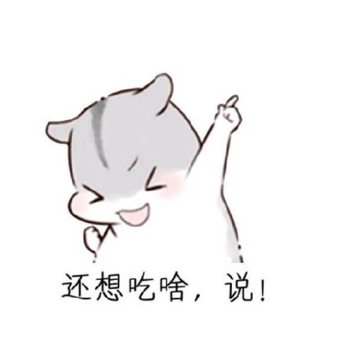 万能聊天回复,这几句话足以搞定女朋友仓鼠斗图表情包搞笑图片