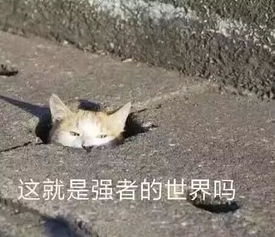  天津相声广播螺肉螺肉怎么听都是螺肉