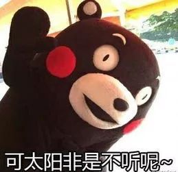  台风你的名字
