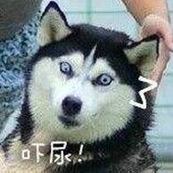  保密快递单将不会再透露你的电话姓名,还会...