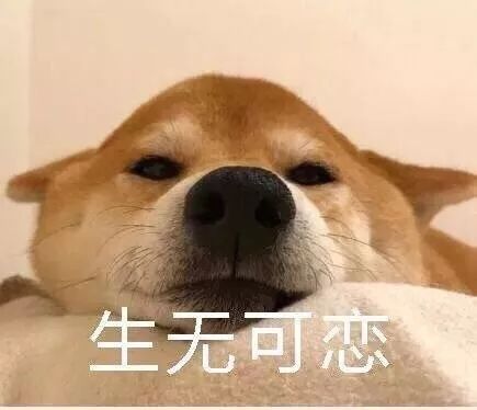 睡不着的图片表情包起床