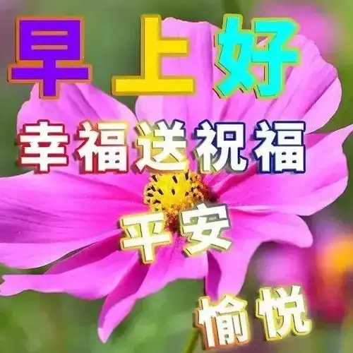  难以捂热的心,不值得疼不知珍惜的人,不值得等,早安