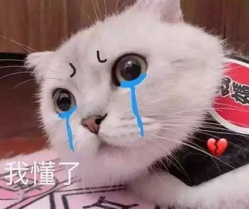  baby景甜唐嫣同场比美,除了造型外,明明这里更有看点