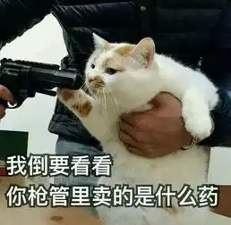  摩根大通2020秋招网申打游戏,看到第一题我就方了含真题截屏