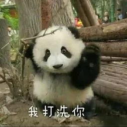  为讨女友欢心,新余小伙竟将魔爪伸向亲戚,骗走其数百万元
