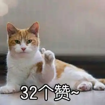  放寒假的你,在家备考复习了吗