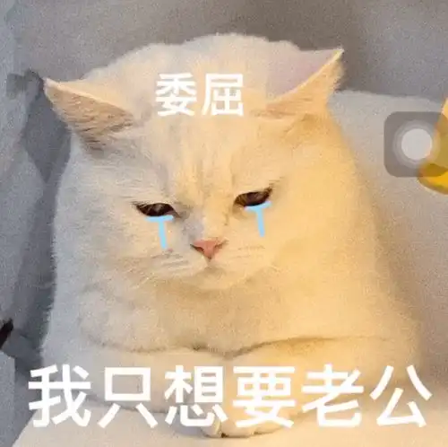 表情包动图担心冒火