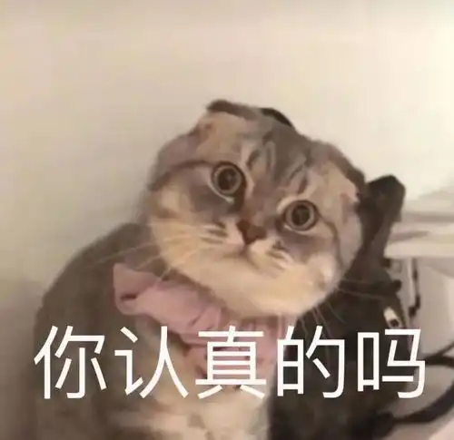  耐克阿迪的机会,足球jk