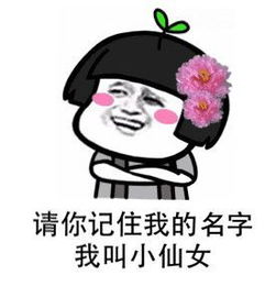 情侣之间的套路表情包情