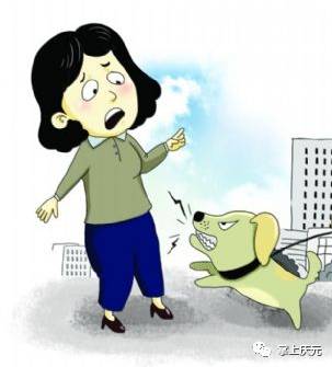  丽水女子被狗咬伤后,一口气喝下近2瓶白酒不幸身亡