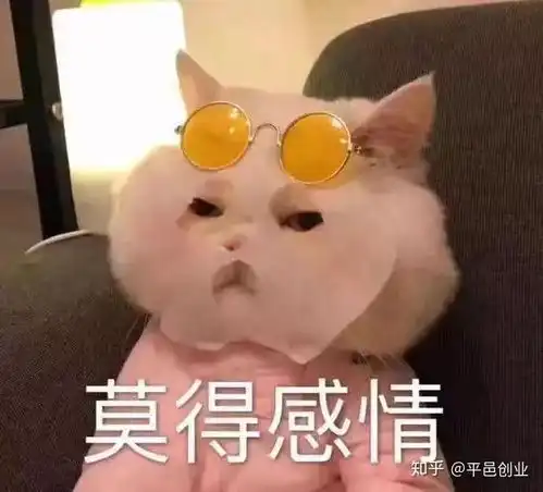 分析别人感情表情包发带