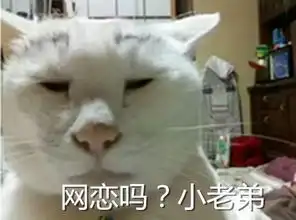  甜蜜蜜的土情话,瞬间撩到小心肝里,你再任性我就娶你了