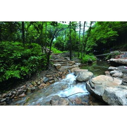  黄公望隐居地周边自驾游_黄公望隐居地自驾游路线攻略_黄公望隐居地旅游游记_易车网