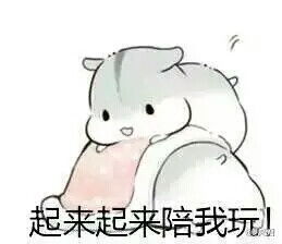  仓鼠球表情包系列夫君君堆糖,美好生活研究所