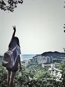  不羁爱自由我的海岛游记