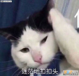  一心向学拒绝诱惑图片迷茫的扣扣头表情包下载乐游网游戏下载