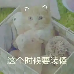 3块钱的名创优品新品好用到尖叫再不抢就断货啦