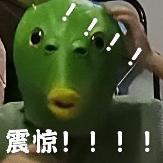 狗带头套的劫匪表情包