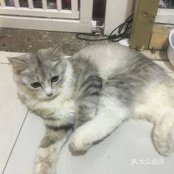  电话,地址,价格,营业时间绍兴美食