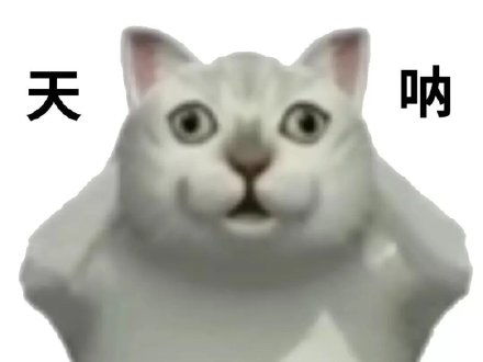  憨憨猫mur猫表情包系列