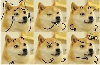 真惨表情包doge