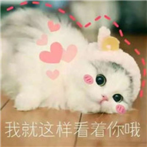  2019年排名第一的python为什么这么红python爆红原因大解析