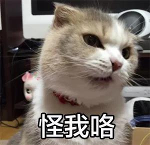 吃了吗图片隐藏屎字恶搞