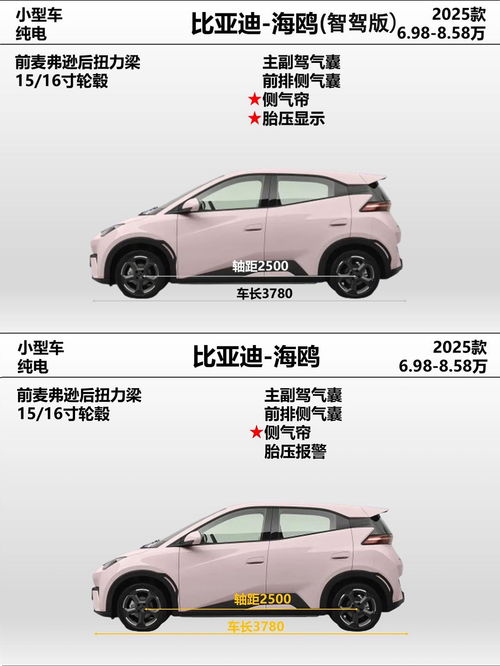  海鸥2025款智驾版和普通版区别