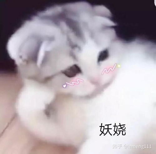 popo终于完结啦