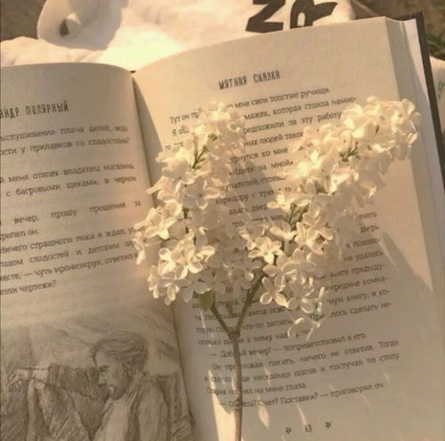  所得所不得皆不如心安理得温柔治愈系ins背景图