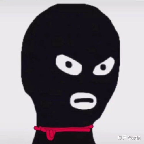  劫匪头套表情包