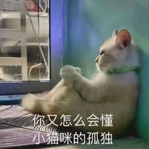  表情包叫我靓仔