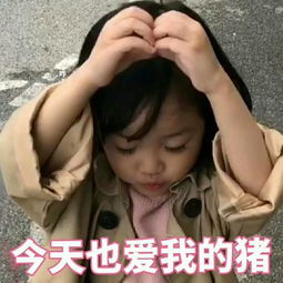  无论你此刻是否迷茫,在阳光升起的时候,请相信,努力的人最终都草莓酱阿的美拍