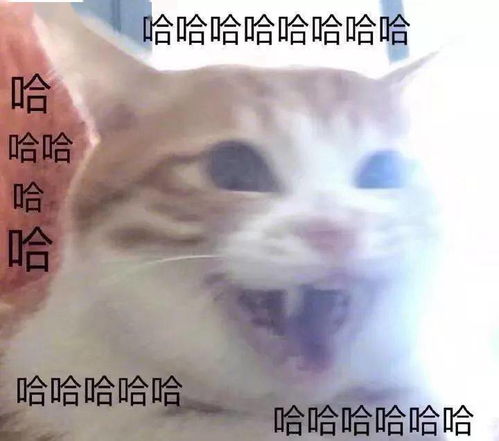  美国大学人设翻车实录