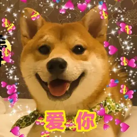 稳稳的接住柴犬表情包芋