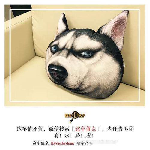 可以用四叶草当头像吗阿
