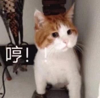  斗图表情包合集小朋友你是否有很多问号