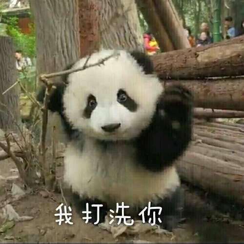  看完半妖司藤了,妈蛋这个作者就不会写点happy...