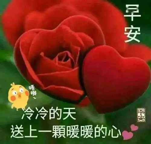  温馨的降温了早上好表情包,降温了注意保暖问候语温暖朋友的心