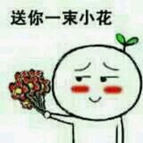  表情暴走漫画图片奖励你一朵小红花一个暴走表情举着一个花圈图片...表情