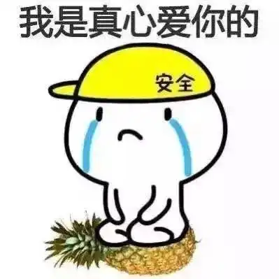  道歉表情包搞笑图片