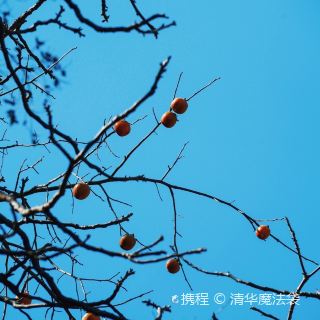  昆明名花谷攻略名花谷门票价格多少钱团购票价预定优惠景点地址图片