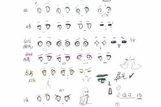  精品板绘初学者人物表情绘画学习方法
